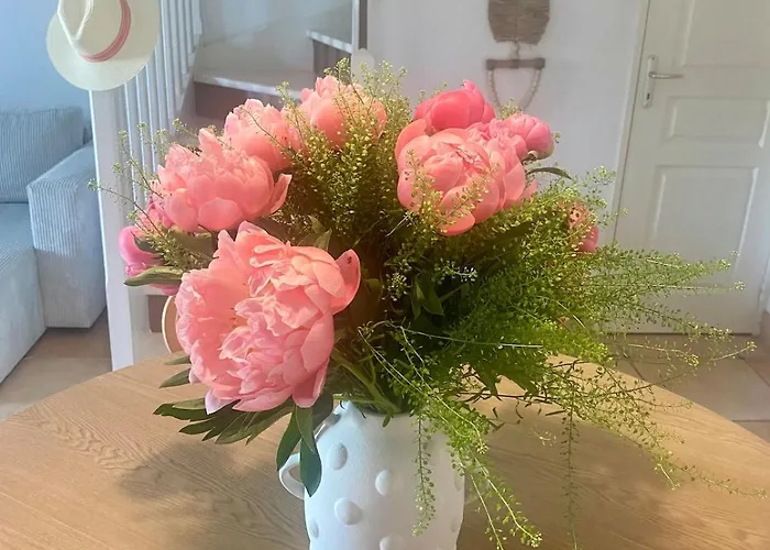 Nichee Sur Golf & Piscine * 생트막시메